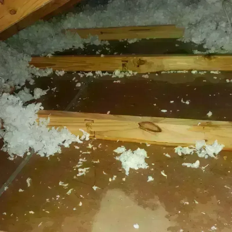 Attic Water Damage in La Dolores, PR